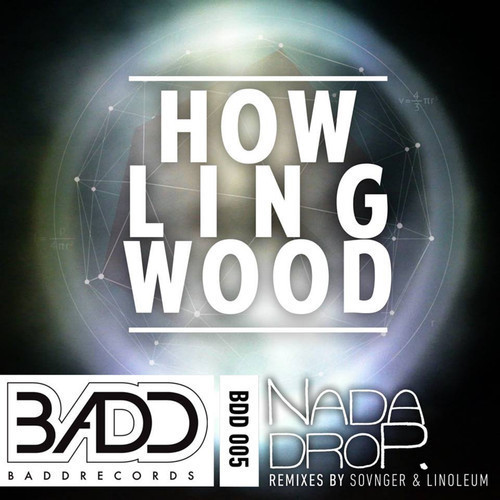 NaDaDrop – Da Howl (Linoleum Remix)