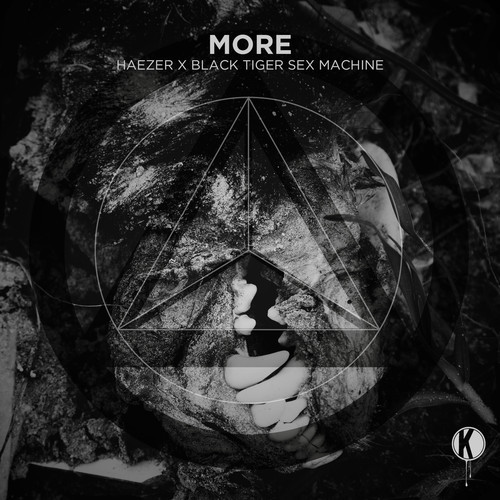 Black Tiger Sex Machine x Haezer – MORE (Original Mix)
