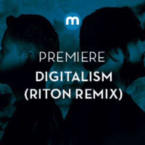 Digitalism - Wolves (Riton Remix)