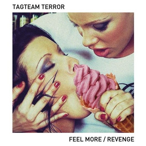 Tagteam Terror - Feel More (Go Go Bizkitt! Remix)