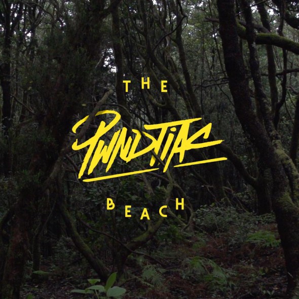 PWNDTIAC ft. Krue - The Beach (Les Loups Remix)