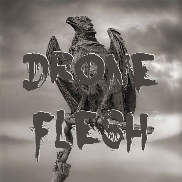 Drone Flesh - Petrified