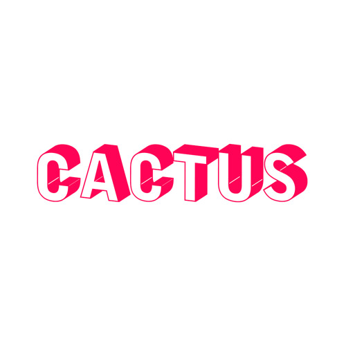 Upcoming Artist M B J, Dazzles Us With Their Track "Cactus"