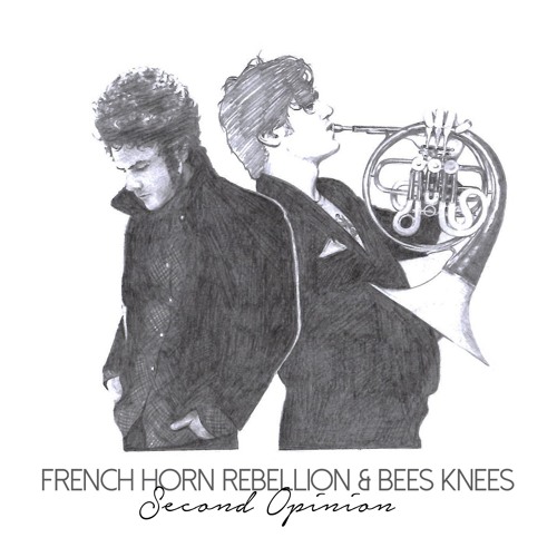 Listen: French Horn Rebellion - Second Opinion (Bee's Knees Remix)