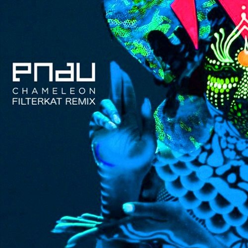 Filterkat Puts His Take On PNAU's "Chameleon"