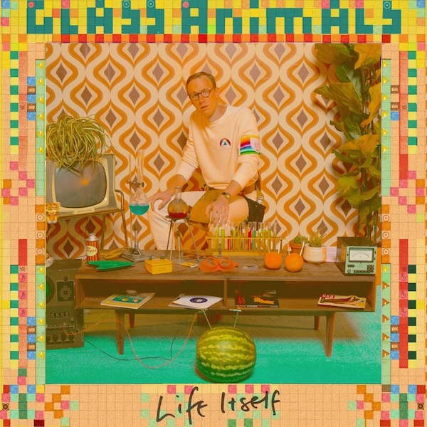 Have You Heard This Glass Animals Remix? – The French Shuffle